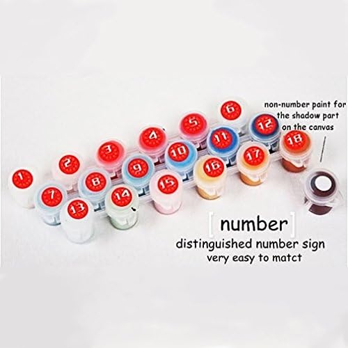 New Digital Oil Painting Acrylic Paint By Number 16x20" Kit (Framed) Diy Painting on Canvas " Fire Dancer"