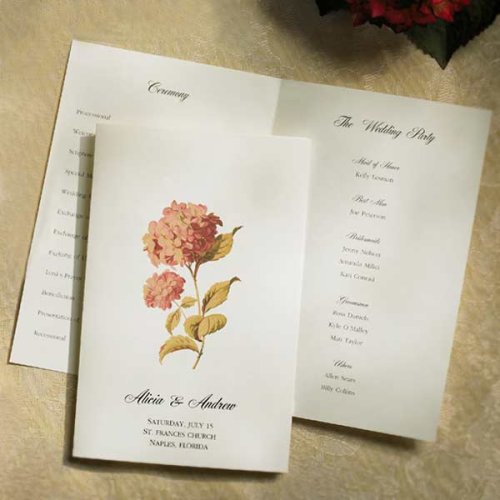 Laura Ashley Hydrangia Program Paper