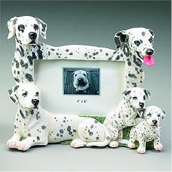 Dalmatian Photo Frame (4x6)