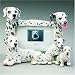 Dalmatian Photo Frame (4x6)