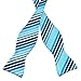PenSee Classic Striped Jacquard Bow Ties for Mens Self Tie Bowtie - Various Design