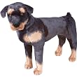 Melissa & Doug Plush Rottweiler