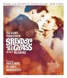 Splendor in the Grass (1961)