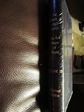 The Bell ringer of Angels (The Works of Bret Harte - Volume 19)
