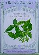 Italian Pesto Basil Seeds 500 Seeds