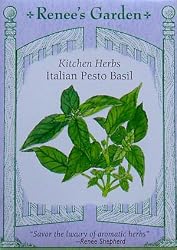 Italian Pesto Basil Seeds 500 Seeds