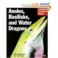 Anoles, Basilisks, and Water Dragons (Complete Pet Owner's Manual)