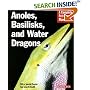 Anoles, Basilisks, and Water Dragons (Complete Pet Owner's Manual)