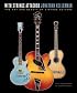 With Strings Attached: The Art and Beauty of Vintage Guitars
