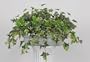 Artificial Variegated English Ivy Ledge Plant Zinc Cont.