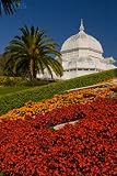 conservatory furnitures-Wallmonkeys Peel and Stick Wall Decals - Golden Gate Park Conservatory - 18
