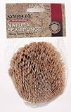 Purdy 031925-003 6-Inch Large Sea Sponges