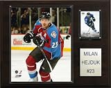 NHL Milan Hejduk Colorado Avalanche Player Plaque