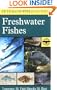 A Field Guide to Freshwater Fishes : North America North of Mexico (Peterson Field Guides)