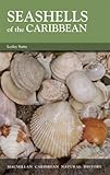 Seashells of the Caribbean