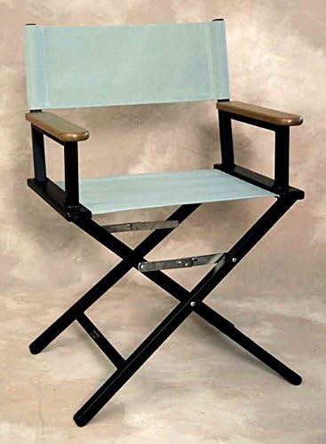 Folding Director's Chair w Fade-Resistant Fabric Seat in Spa