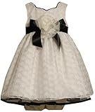 Bonnie Baby Girls Infant Embroidered Circles On Organza Dress