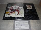 Dominik Hasek Autographed Detroit Red Wings Wall Plaque w/ COA