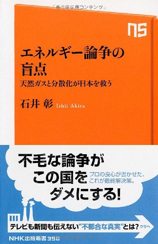 エネルギー論争の盲点―天然ガスと分散化が日本を救う (NHK出版新書 356)