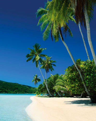 Empire Merchandising 523617 Beaches - Bounty Paradise - Beach Poster Foto Strand Palmen Meer Paradies Mini-Poster - Druck - 40 x 50 cm