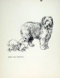 Confabulation Dog Pencil Drawing Fine Old Art Sketch