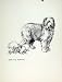 Confabulation Dog Pencil Drawing Fine Old Art Sketch