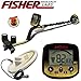 Fisher Labs Gold Bug Pro Combo (Goldbug-Pro-Cc)