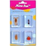 Bug Specimens (Scorpion, Ant, Wasp, Flower Bug) Bug Specimens (Scorpion, Ant, Wasp, Flower Bug)