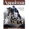 All About Appaloosa Horses