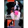 Berner Sennenhund: Charakter, Erziehung, Gesundheit
