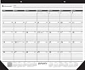 AT-A-GLANCE Academic Year 16 Month Desk Pad, September 2010 - December 2011 (SK2416)
