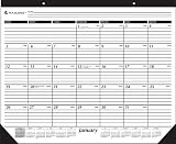 AT-A-GLANCE Academic Year 16 Month Desk Pad, September 2010 - December 2011 (SK2416)