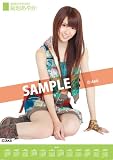2012　ﾎﾟｽﾀｰﾀｲﾌﾟｶﾚﾝﾀﾞｰ　(1本巻）　菊地あやか AKB-122