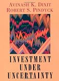 Investment under Uncertainty