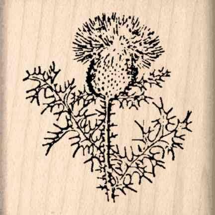 Stamps by Impression Thistle Rubber Stamp