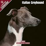 Eigenschaften Avonside Publishing Ltd.  / Kalender 2009 Italian Greyhound - Italienisches Windspiel