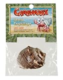 Hagen Crabworx Shell, Large