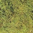 ZOO GREEN MOSS 10GAL MEDIUM ZOO GREEN MOSS 10GAL MEDIUM