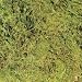 ZOO GREEN MOSS 10GAL MEDIUM