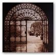 Courtyard in Venezia by Alan Blaustein 24"x24" Art Print Poster