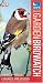 RSPB Pocket Garden Birdwatch