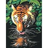 Eigenschaften Dimensions / Tiger Reflection Malen nach Zahlen