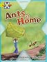 Project X: Underground: Ants at Home