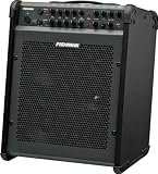 Fishman PRO-LBX-300 Loudbox Performer Acoustic Combo Amp