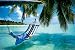 Beaches - Poster - Hammock + Ü-Poster von Hammock - alle Infos