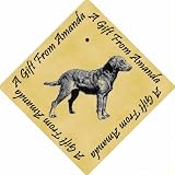 Pack of 12 PERSONALIZED Parchment 6cm Square Gift Tags Chesapeake Bay Retriever