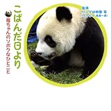 こぱんだ日より―苺ちゃんのソボクなひとこと