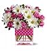 Polka Dots & Posies
