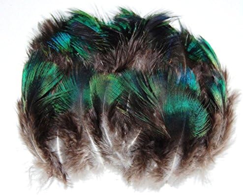 GSG Fashion 100 Pcs Peacock Plumage Feathers 1 Inch-5 Inch - Natural Black