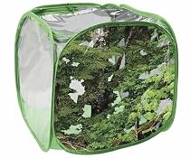 Discovery Exclusive Praying Mantis Encounter Habitat